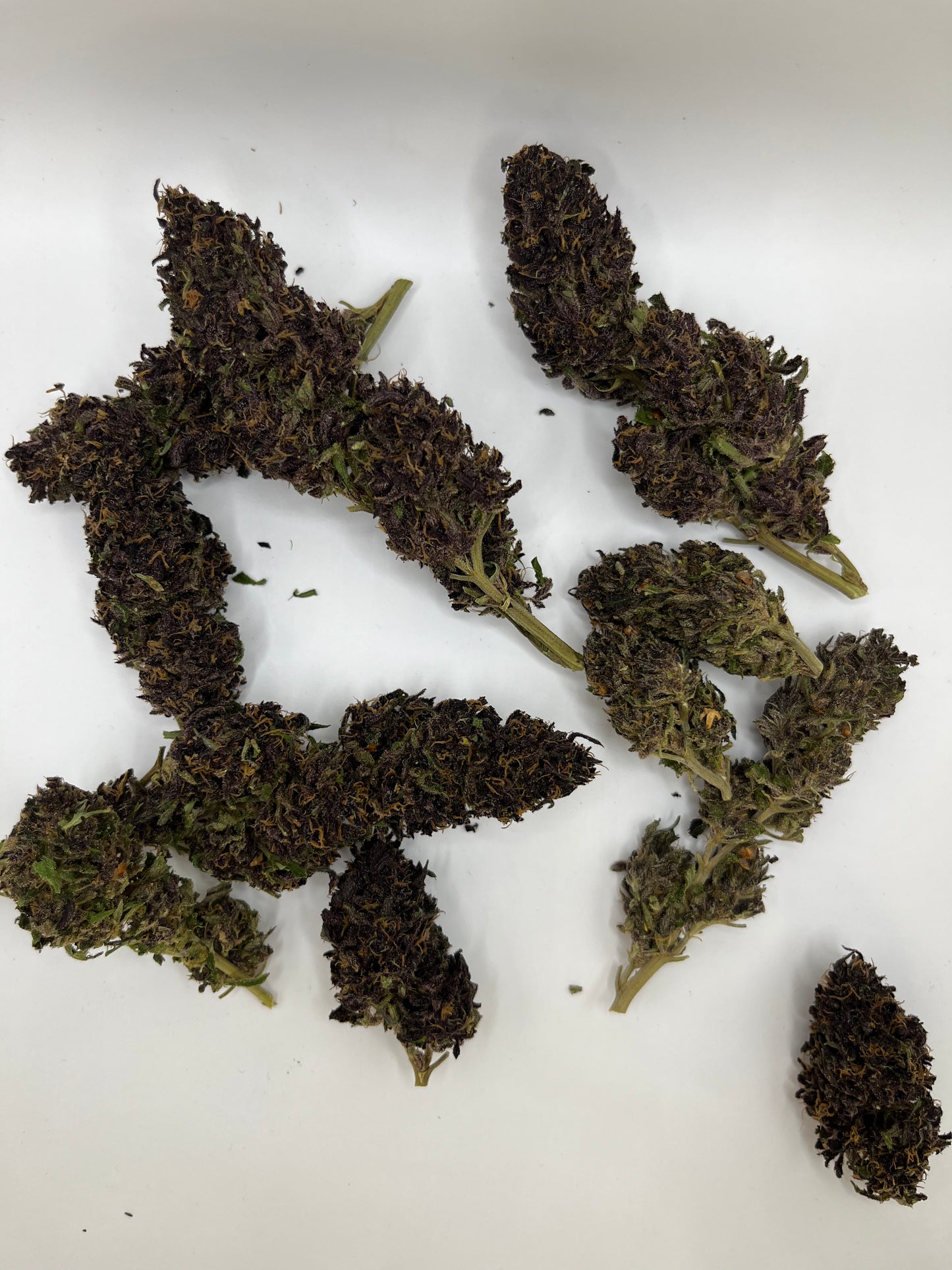 TERPENE LEMON PIE