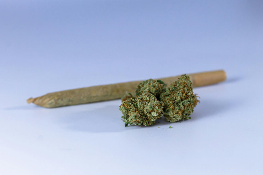 Cbd & libido : bienfaits, précautions et conseils
