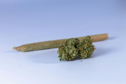 Cbd & libido : bienfaits, précautions et conseils