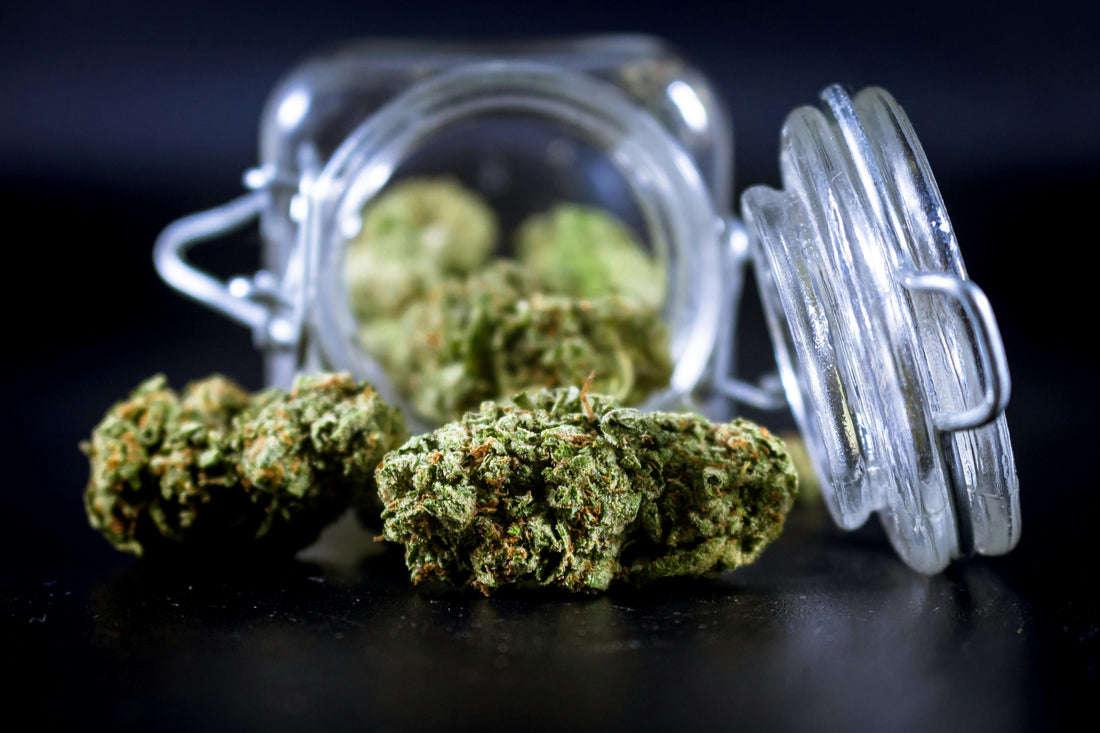 Comment bien choisir son CBD ? Le guide simple