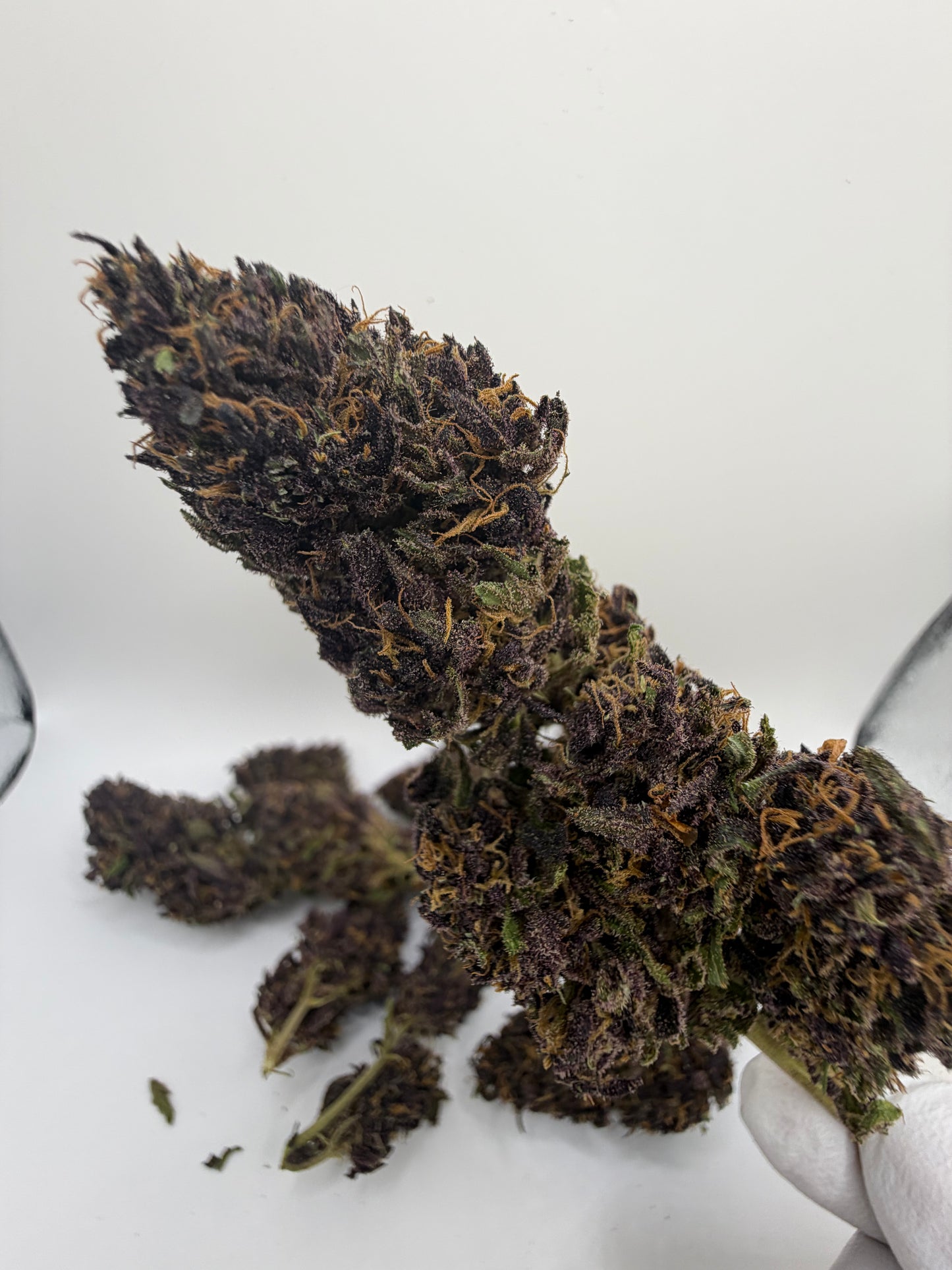 TERPENE LEMON PIE