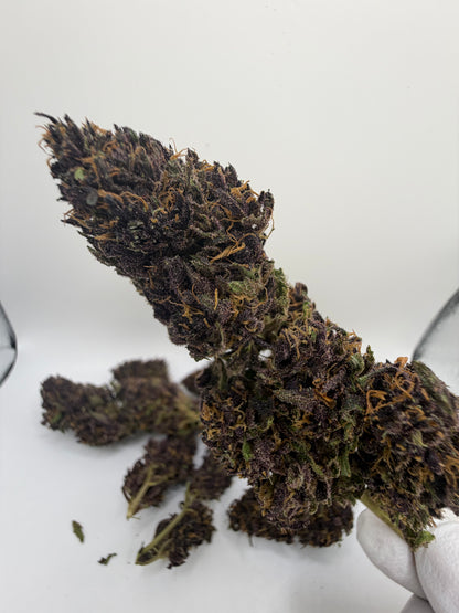 TERPENE LEMON PIE