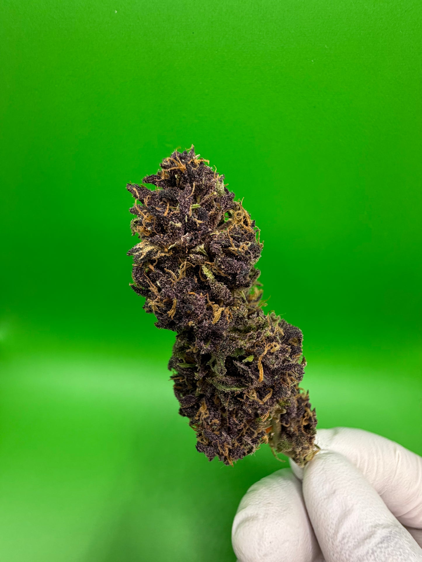 TERPENE LEMON PIE
