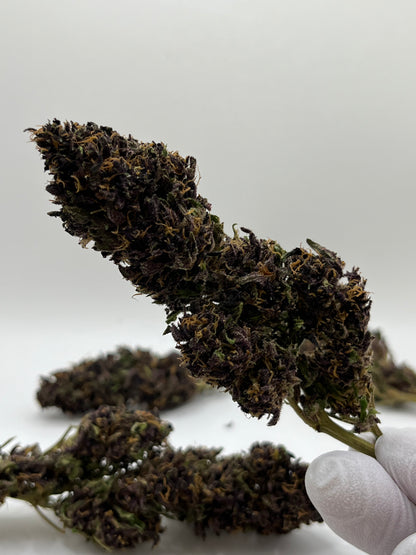 TERPENE LEMON PIE