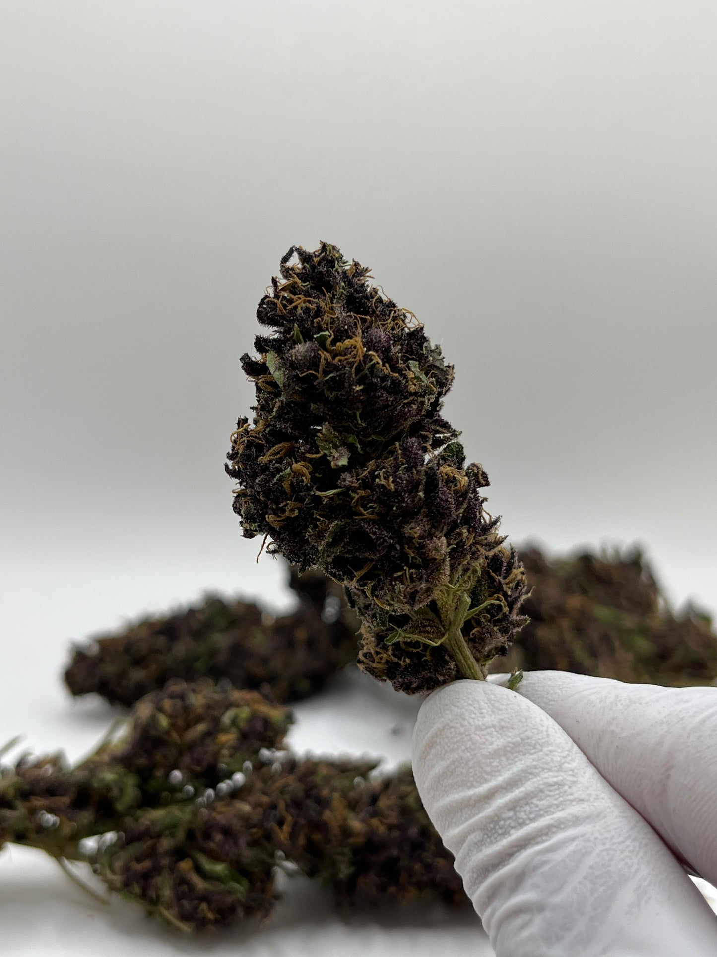 TERPENE LEMON PIE