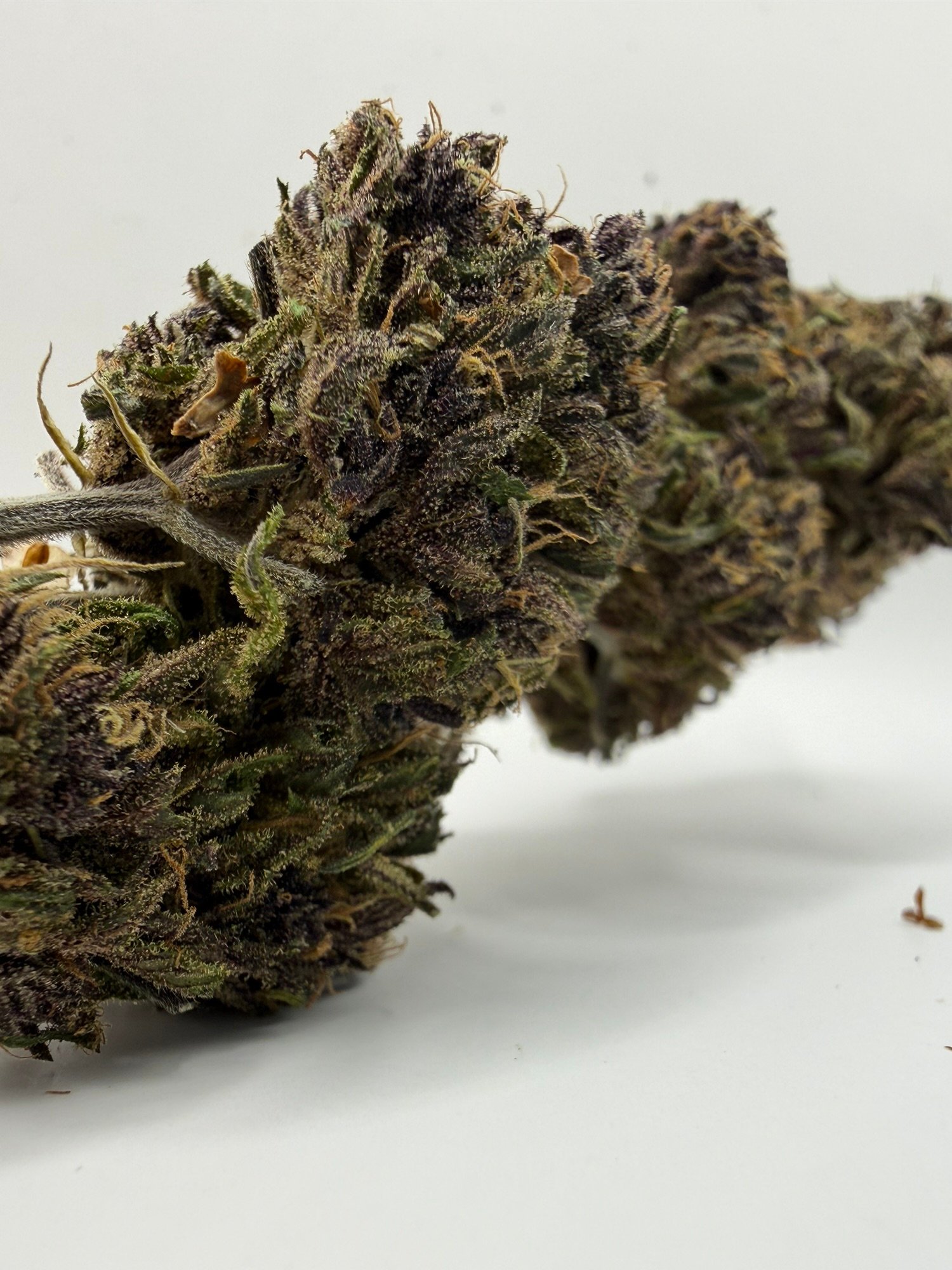 TERPENE BLUE MERINGUE – Image 3