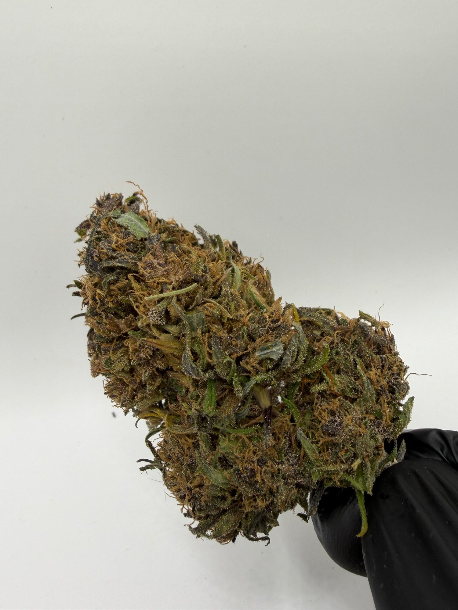 TERPENE BLUE MERINGUE – Image 2