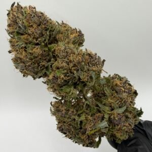 TERPENE BLUE MERINGUE