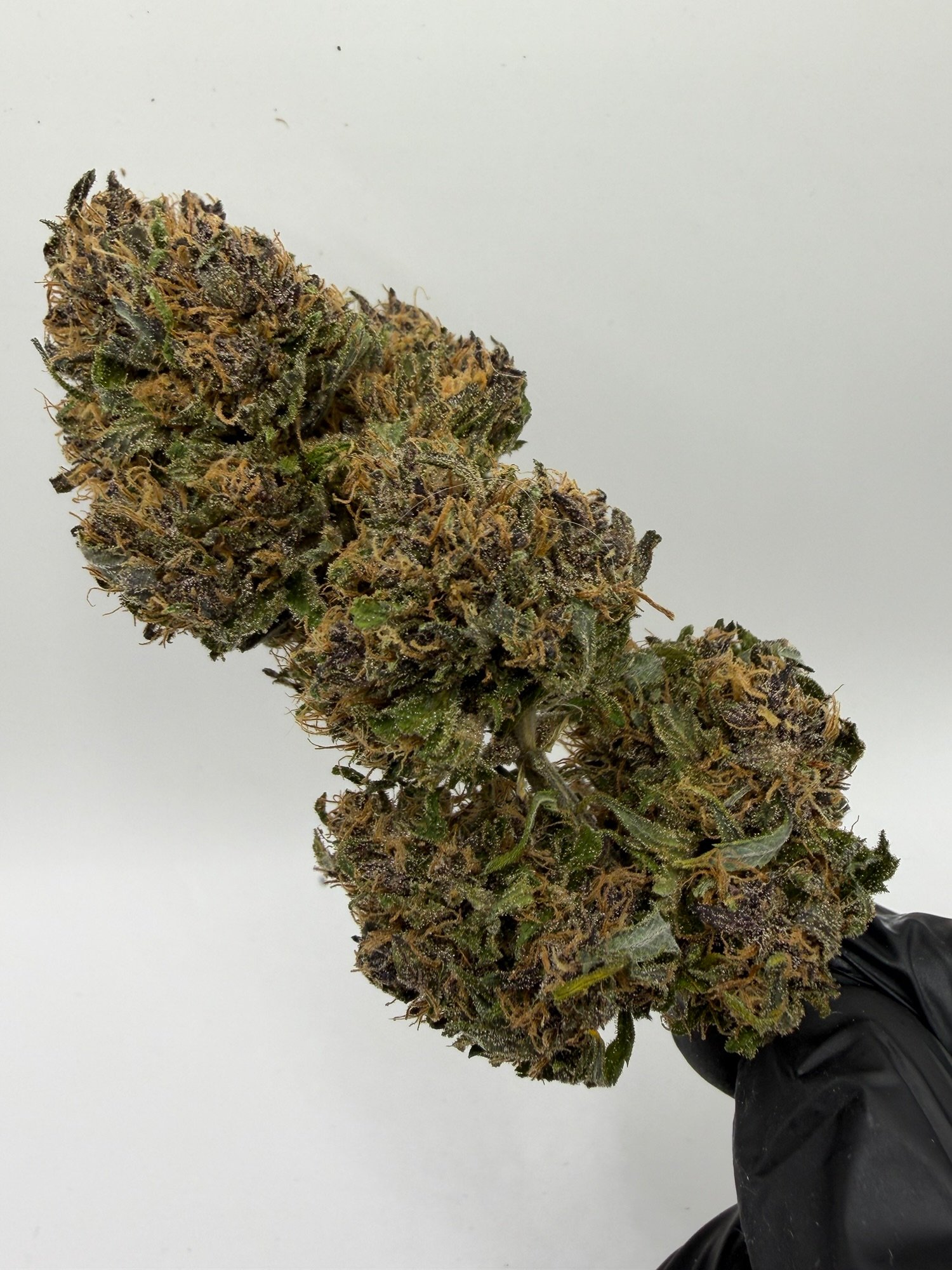 TERPENE BLUE MERINGUE